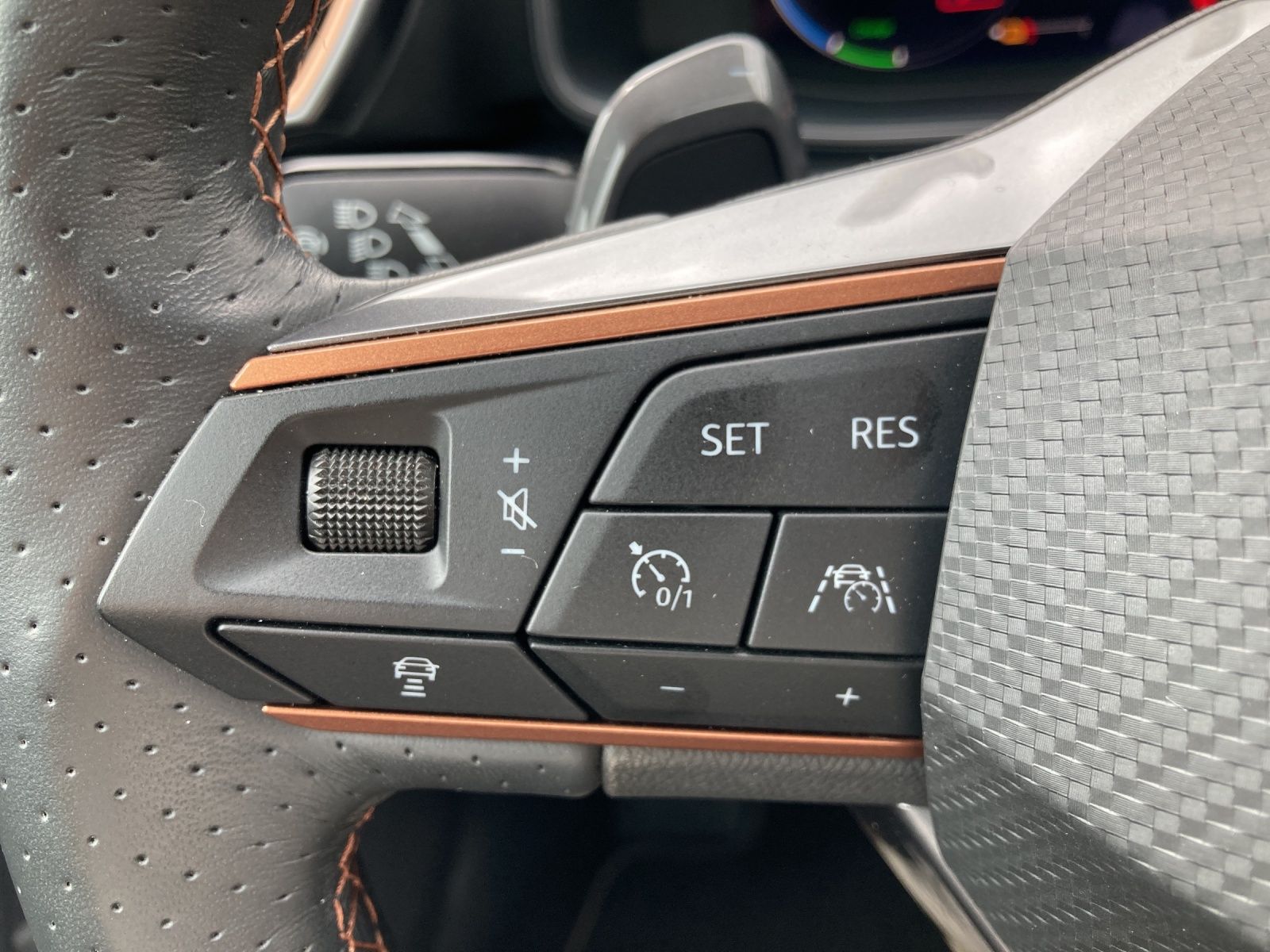 Cupra Formentor e-Hybrid DSG LED AHK ACC RFK SH 18"