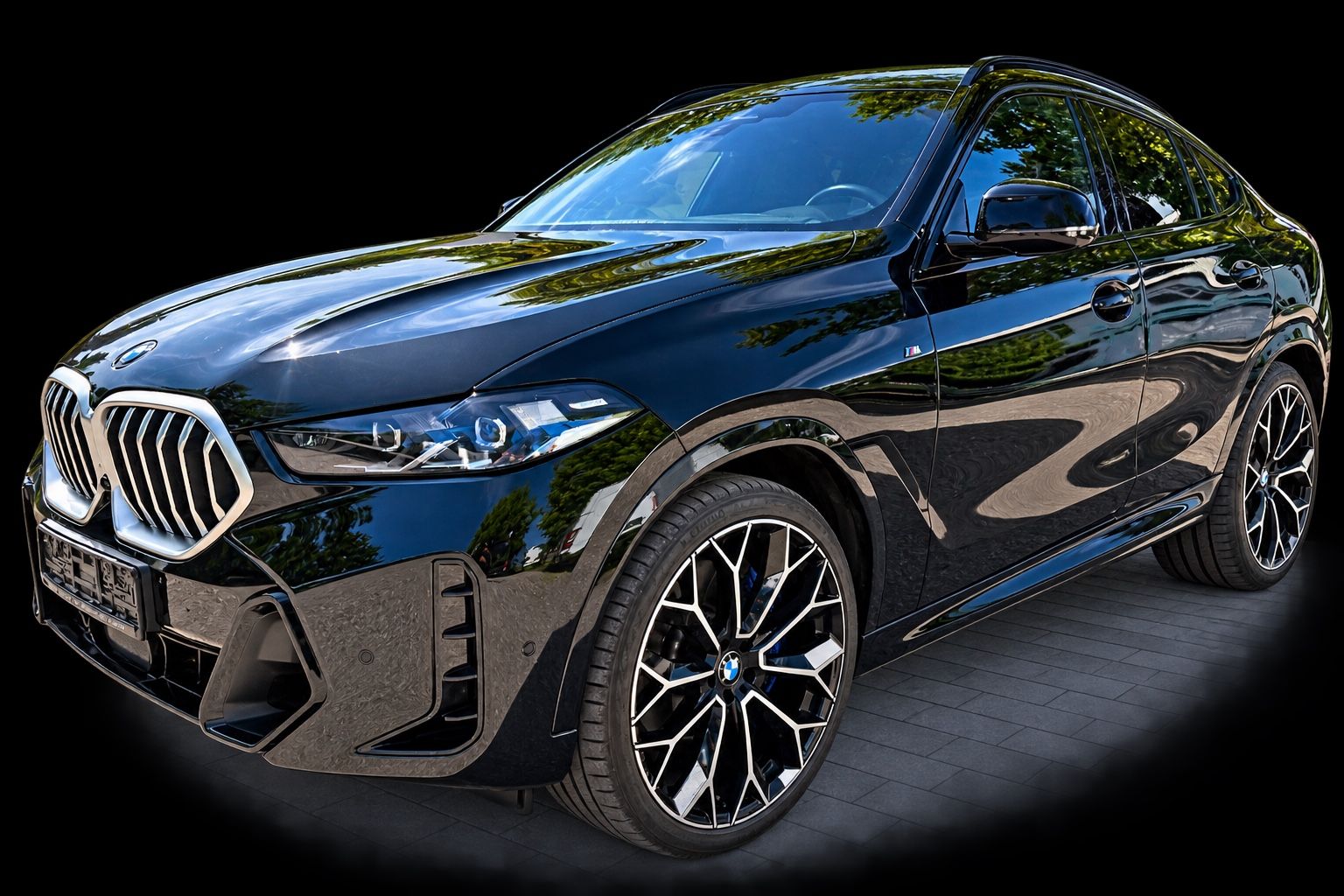BMW X6 30 d xDrive M Sport,Panorama,Standheizung