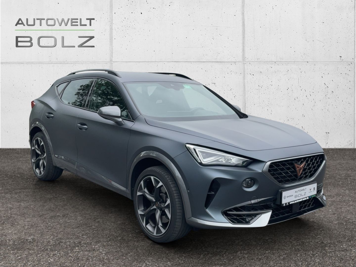 Cupra Formentor VZ 4Drive 2.0 TSI AHK Navi Lederpaket