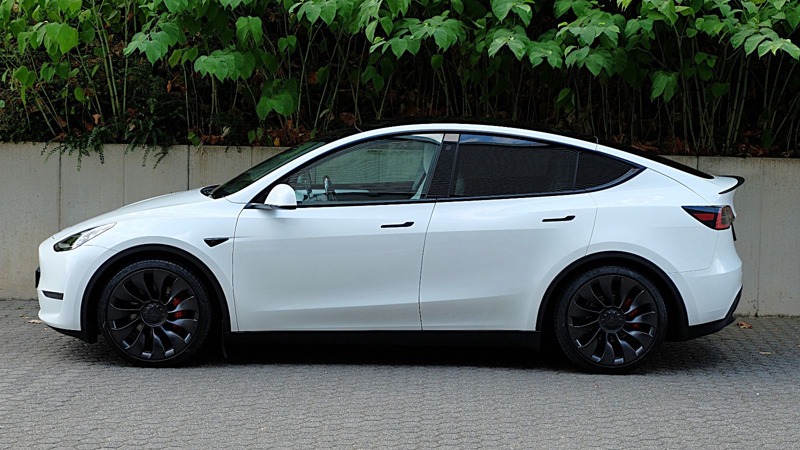 Tesla Model Y Performance Dual Motor AWD, LM 21"