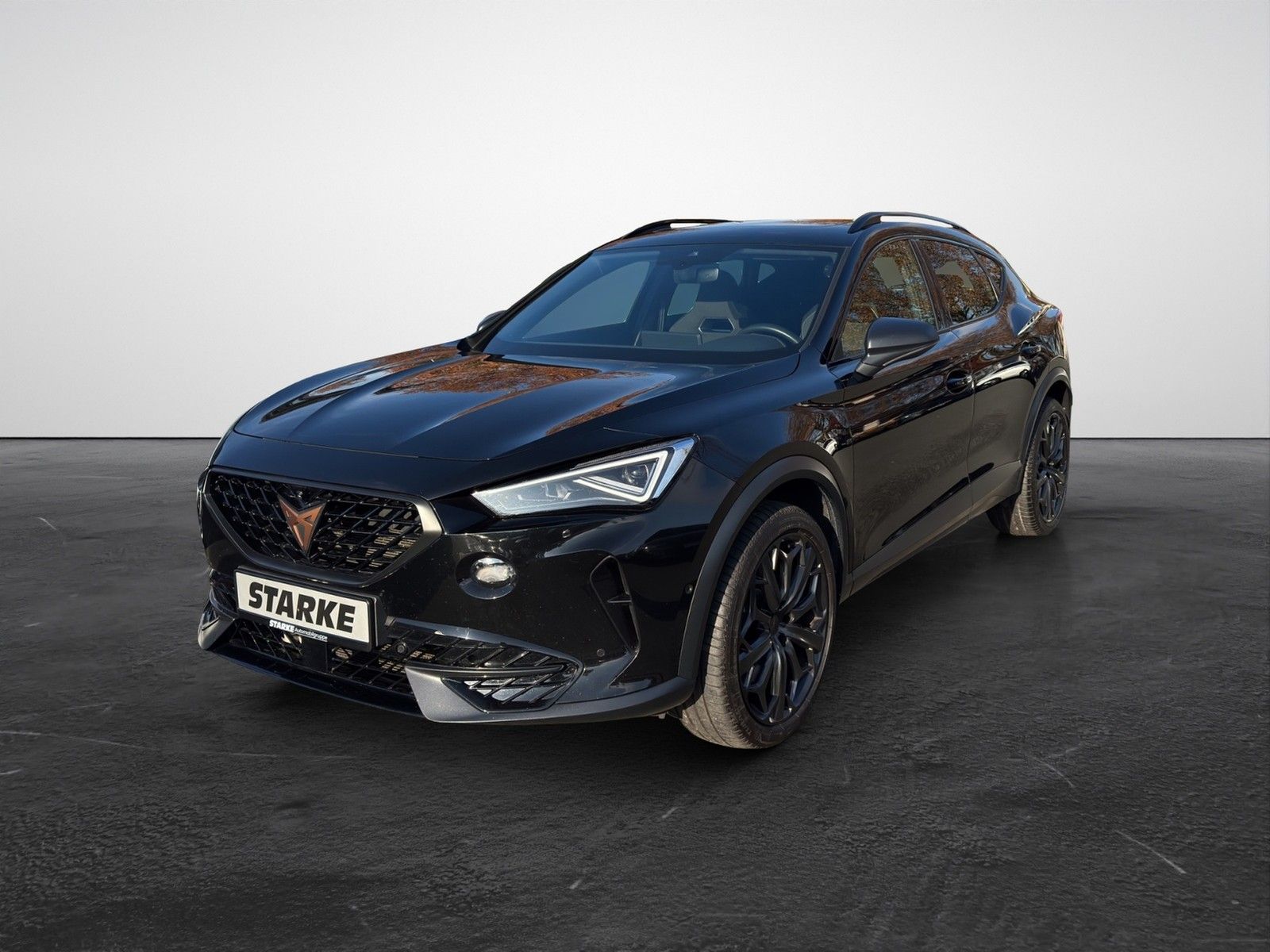 Cupra Formentor VZ 2.0 TSI DSG 4Drive Tribe Edition  P