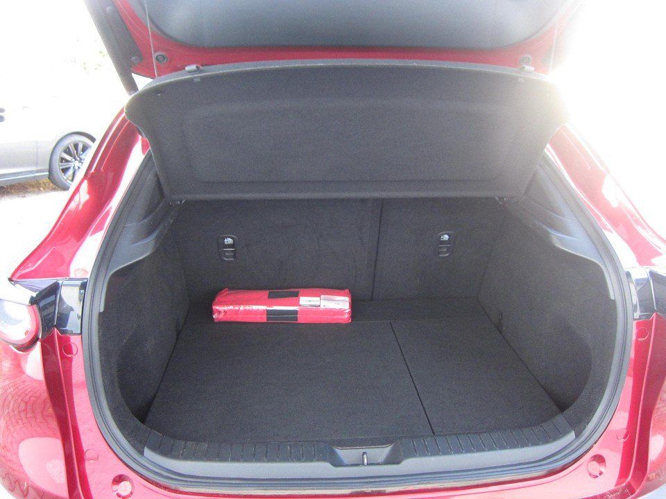 Mazda CX-30 SKYACTIV-X 2.0 M HYBRID Homura / Rückfahrk