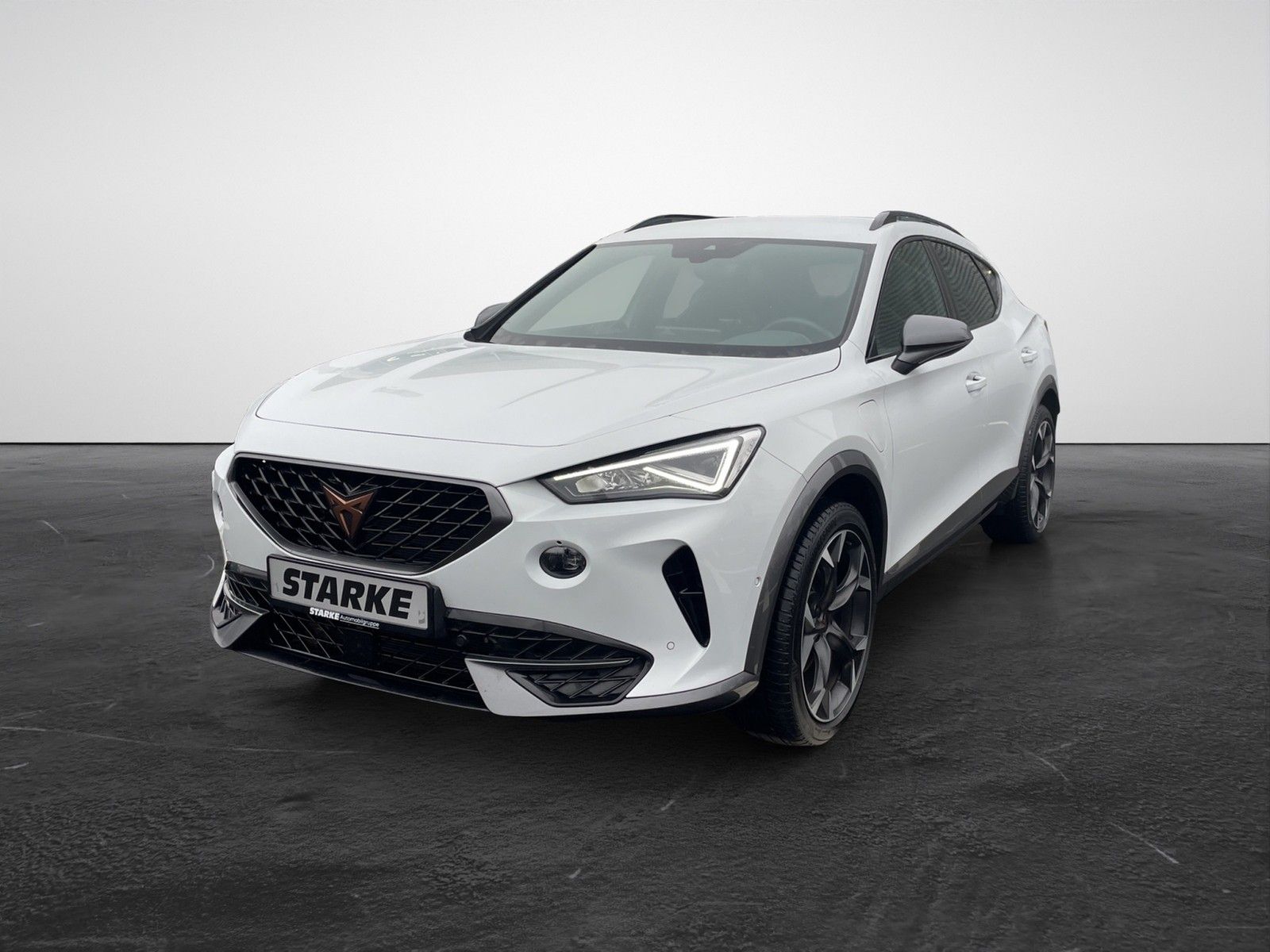 Cupra Formentor 1.4 TSI e-Hybrid  AHK Navi LED Kamera