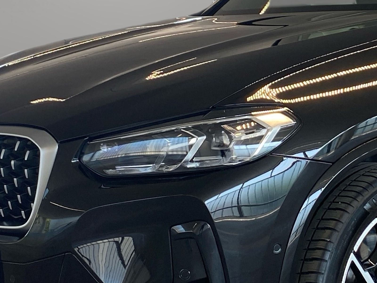 BMW X4 xDrive20i M Sport AHK Driv.Assist.Prof HiFi