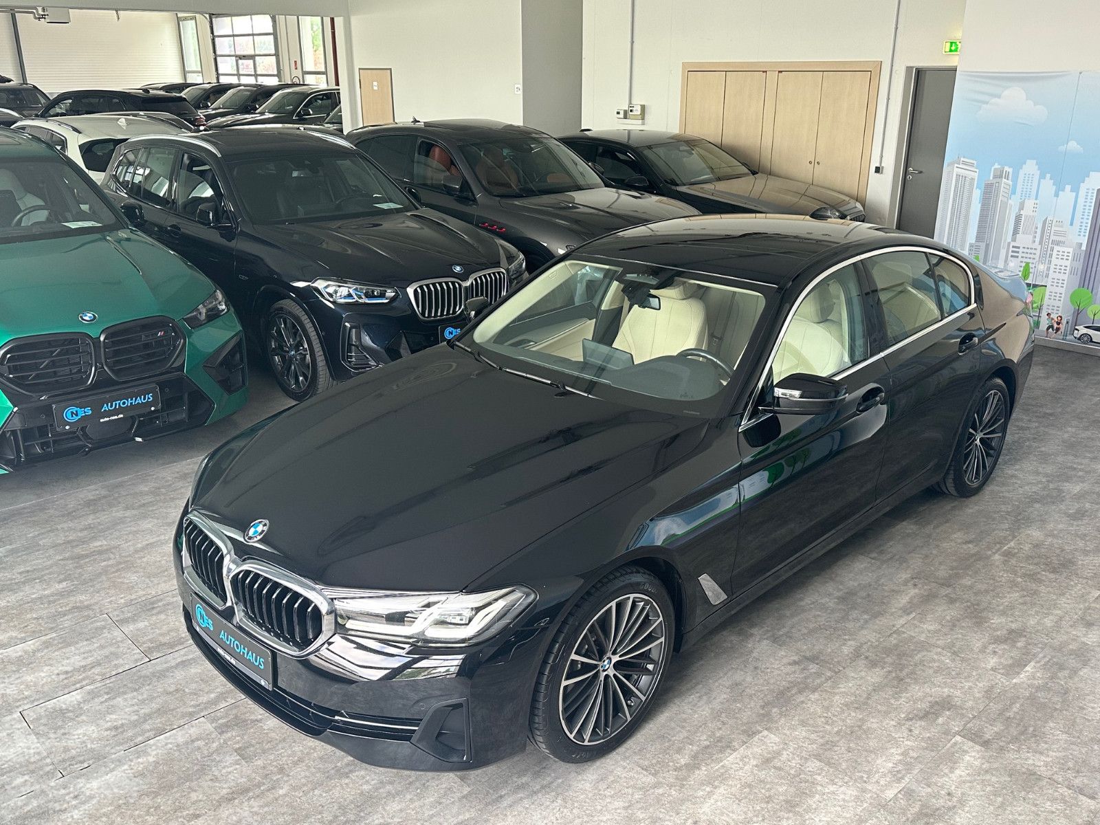BMW 520d xDr *ACC*DRIVING*4-ZONEN KL.*KAM*HiFi*LEDER