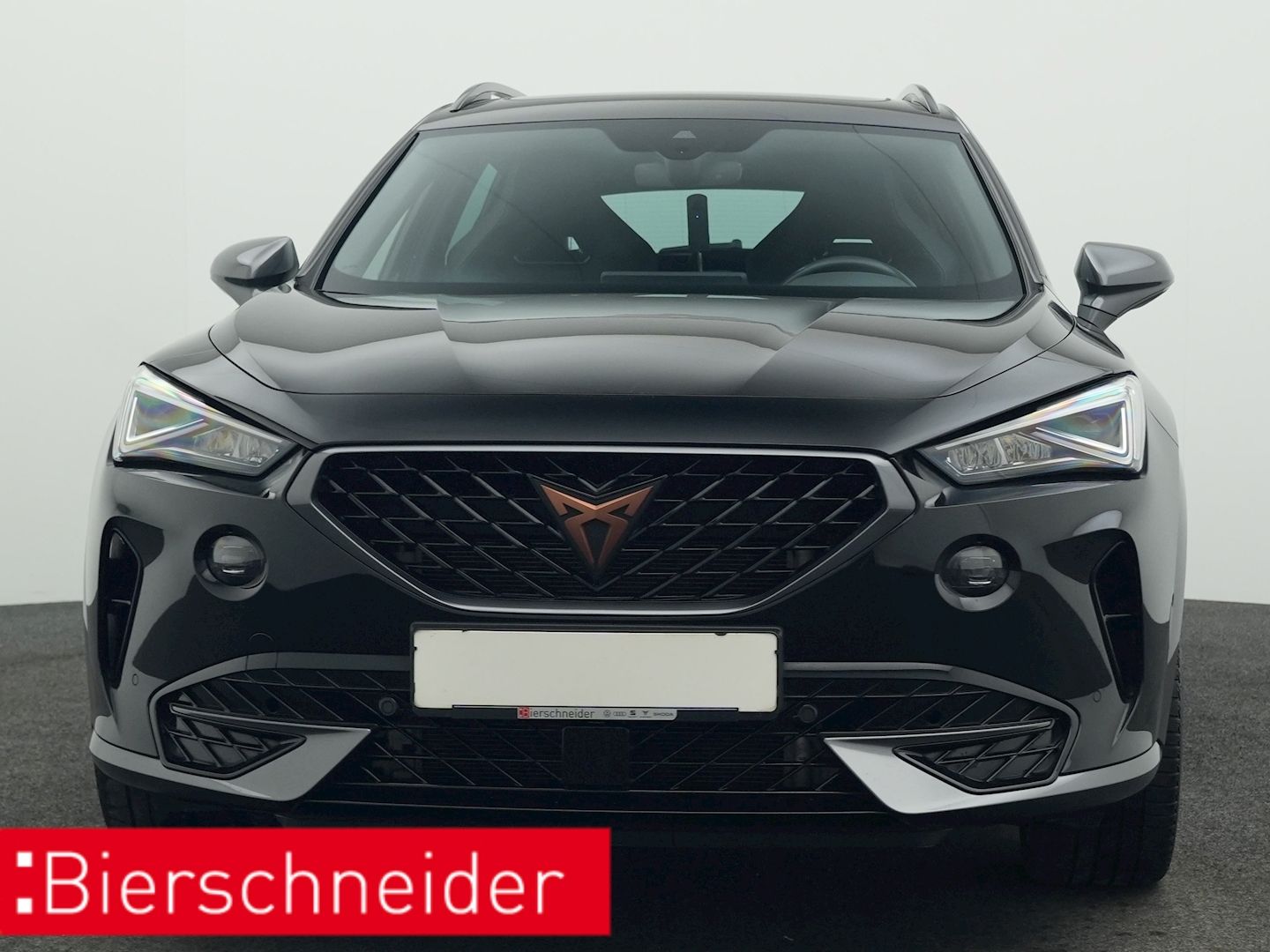 Cupra Formentor 1.4 TSI DSG e-Hybrid VZ PANO AHK KAMER