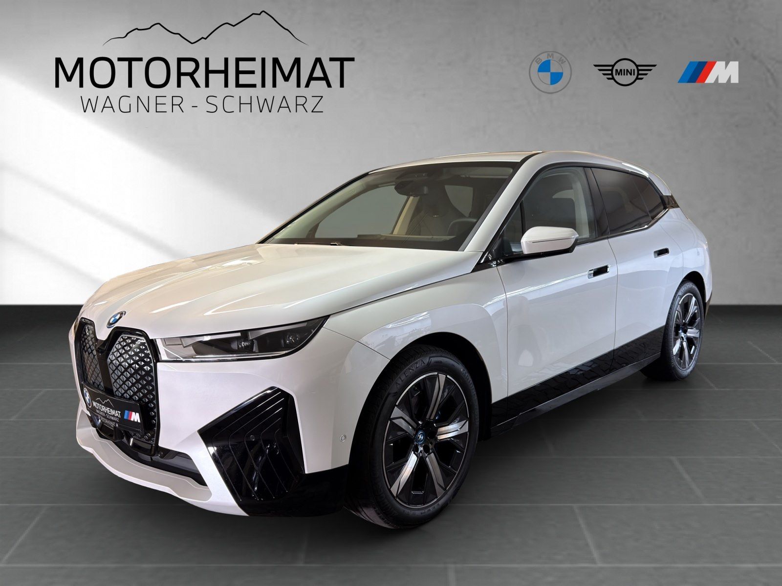 BMW iX xDrive40 Sportpaket 21" ACC 360° HUD