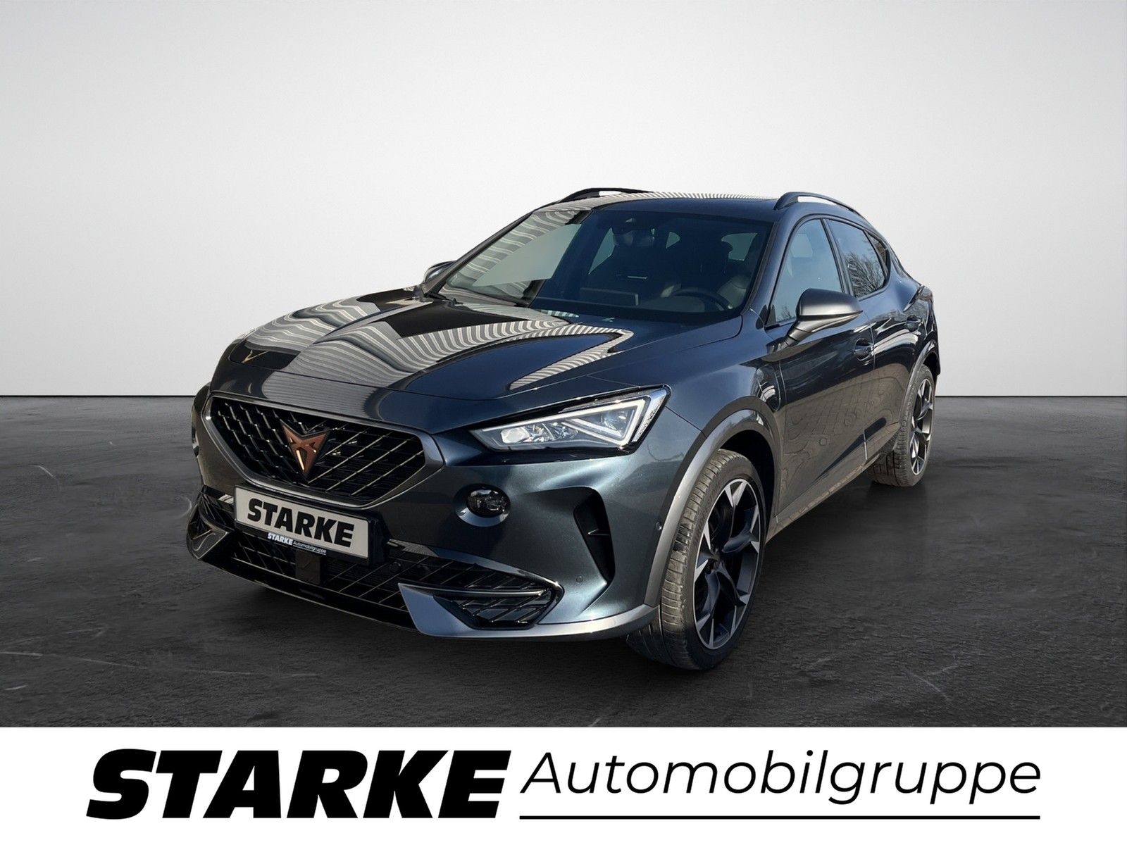 Cupra Formentor 1.4 TSI eHybrid DSG VZ  Panodach AHK N