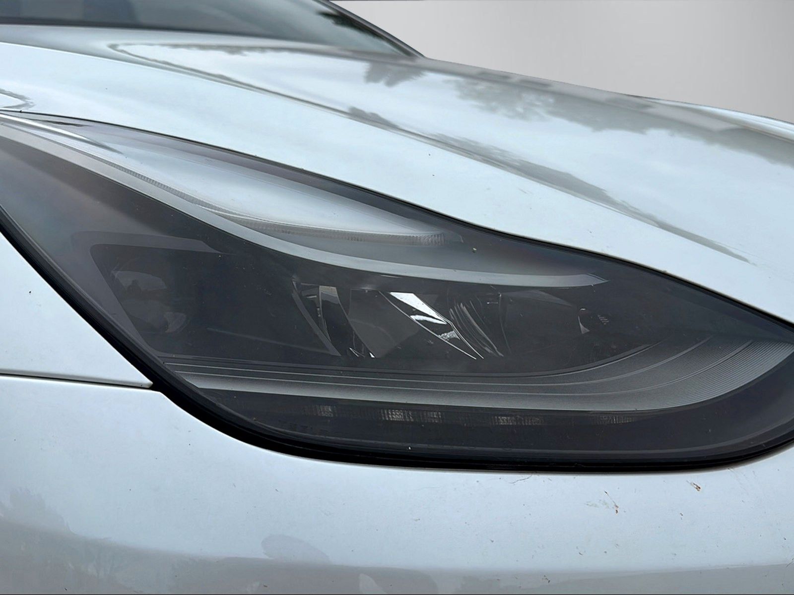 Tesla Model Y Long Range AWD | Autopilot | Pano | AHK