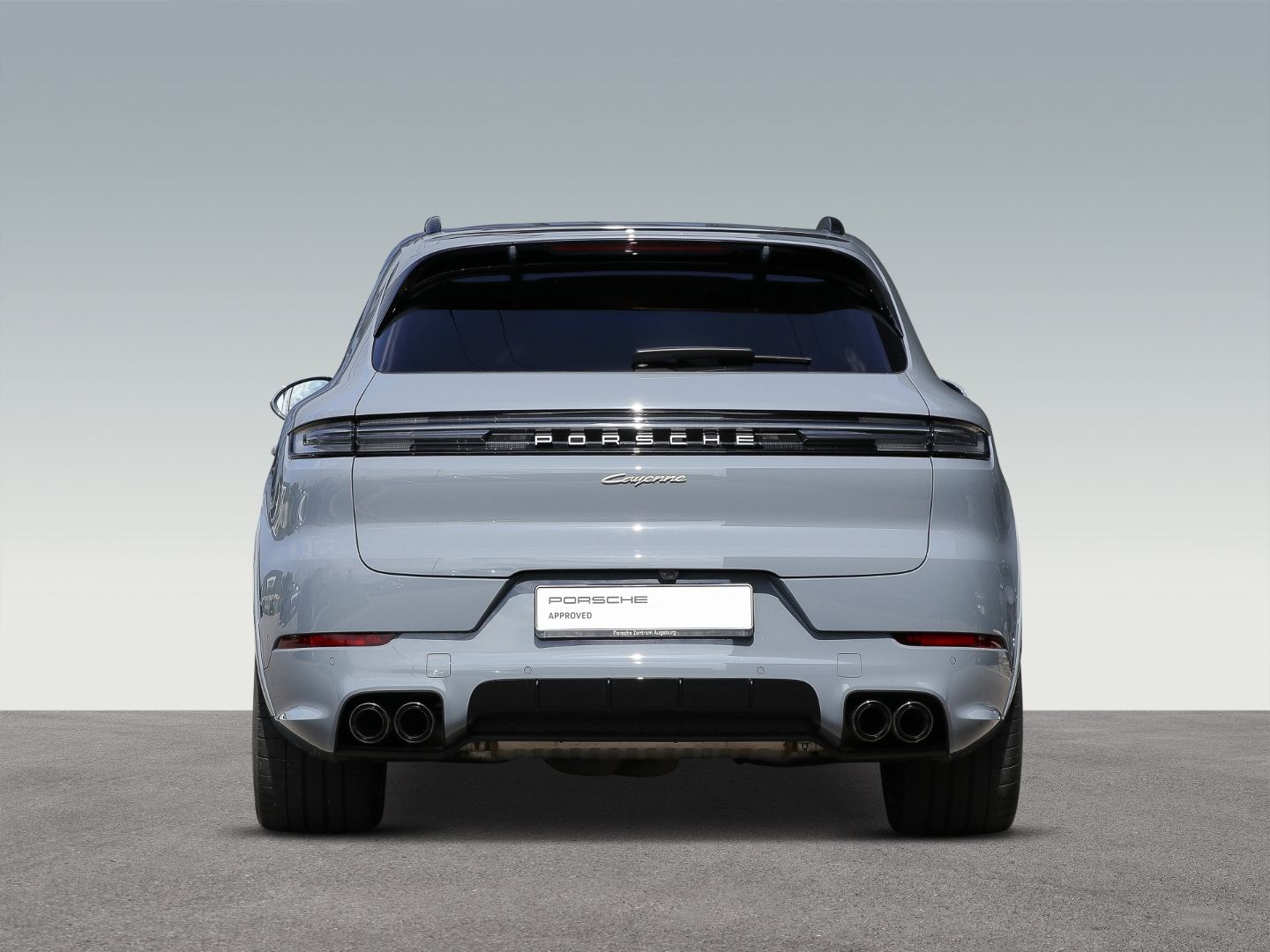 Porsche Cayenne E-Hybrid BOSE Sportabgasanlage Panorama