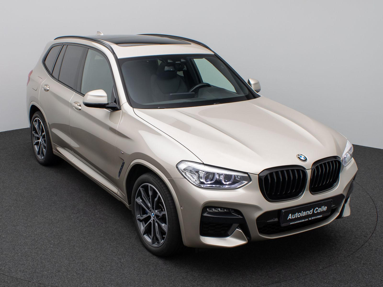 BMW X3 xD30d M Sport Panorama Kamera DAB HiFi DisKey