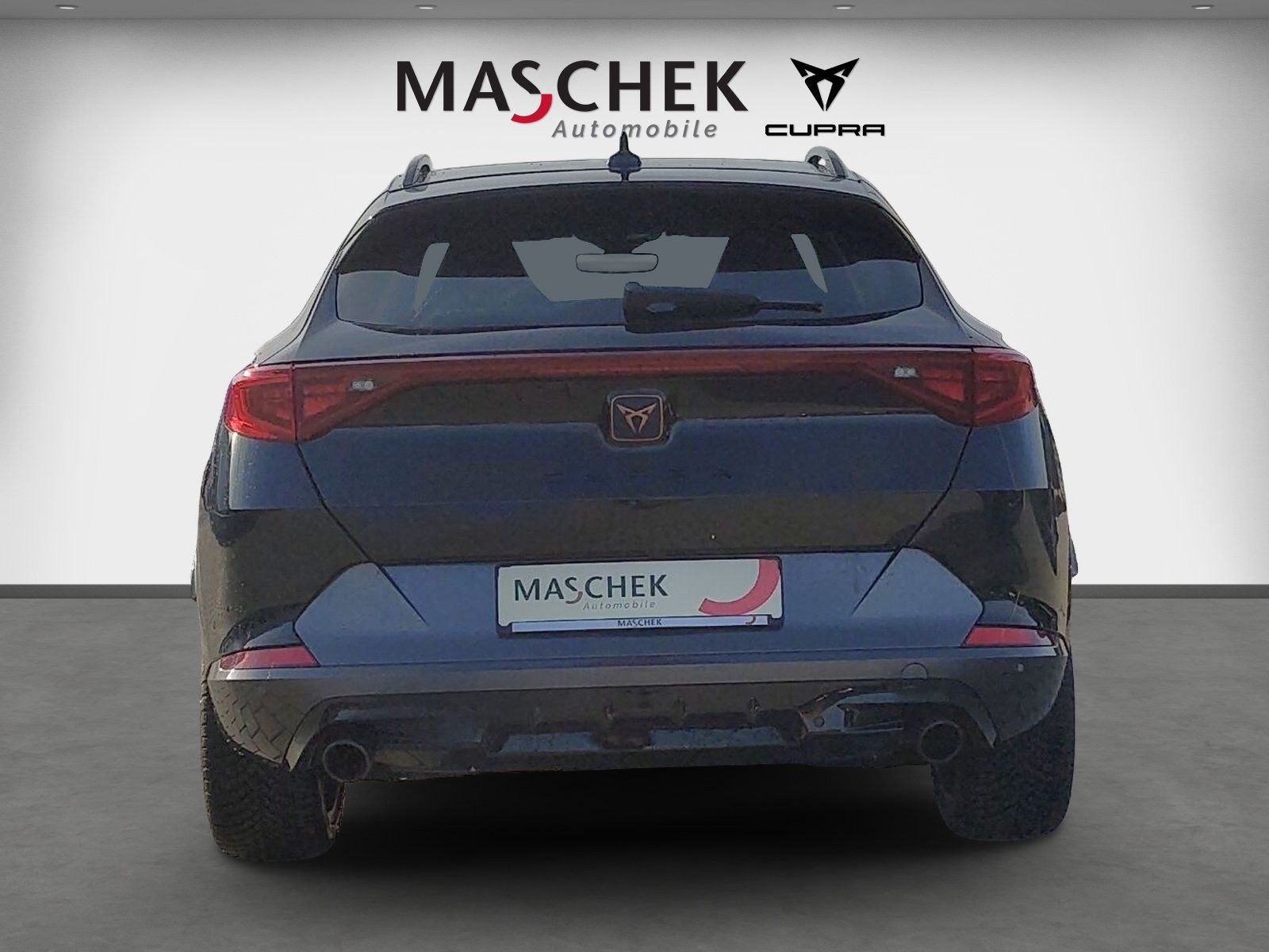 Cupra Formentor 2.0 TSI DSG Pano AHK Schalens. RearVie