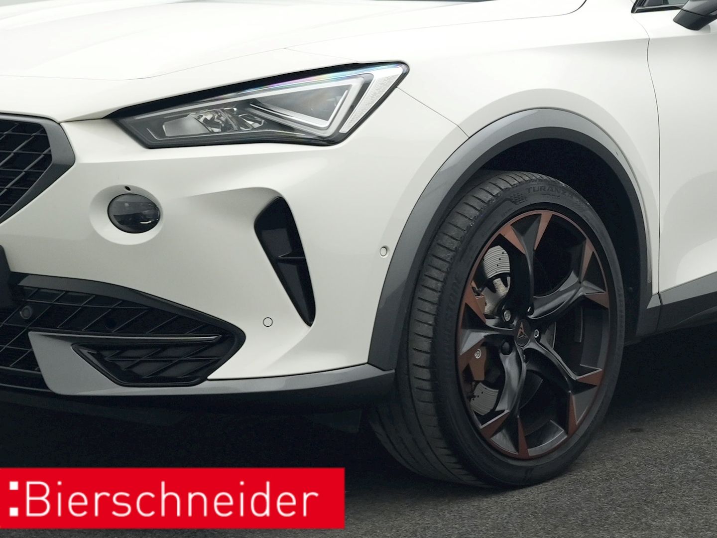Cupra Formentor 2.0 TSI DSG 4Dr. VZ PANO BREMBO AHK LE