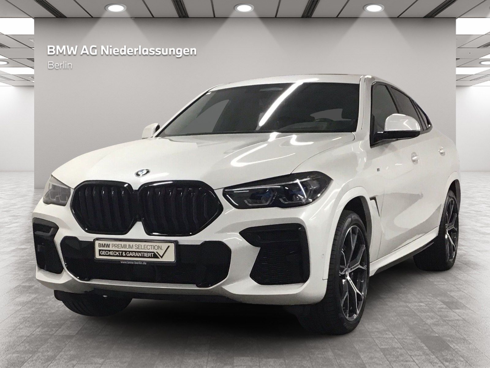 BMW X6 xDrive40d M Sport Driv.Assist.Prof Harman/K