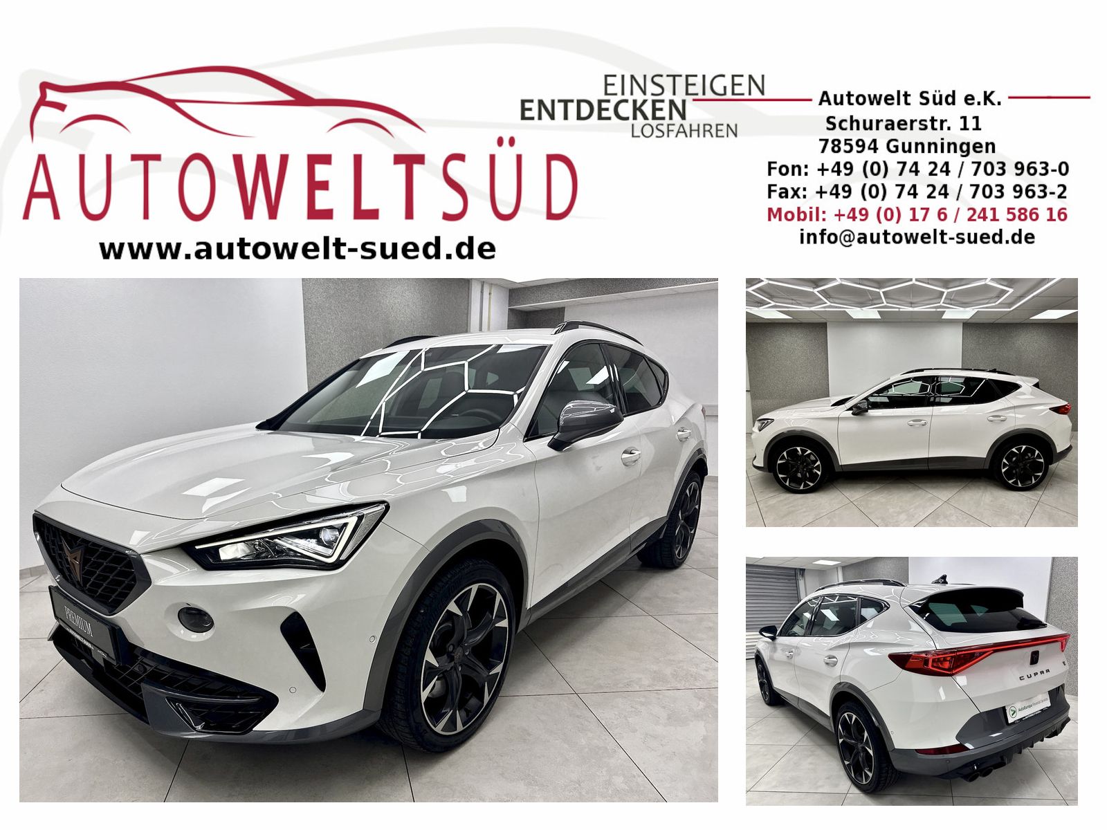 Cupra Formentor VZ 2.0 TSI 4Drive ACC DCC AHK Rcam Nav