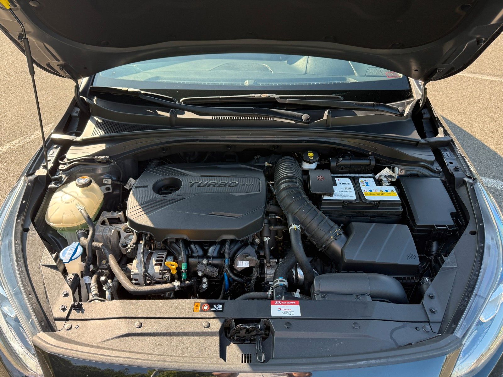 Kia ProCeed GT - Samsaru's Car Outlet