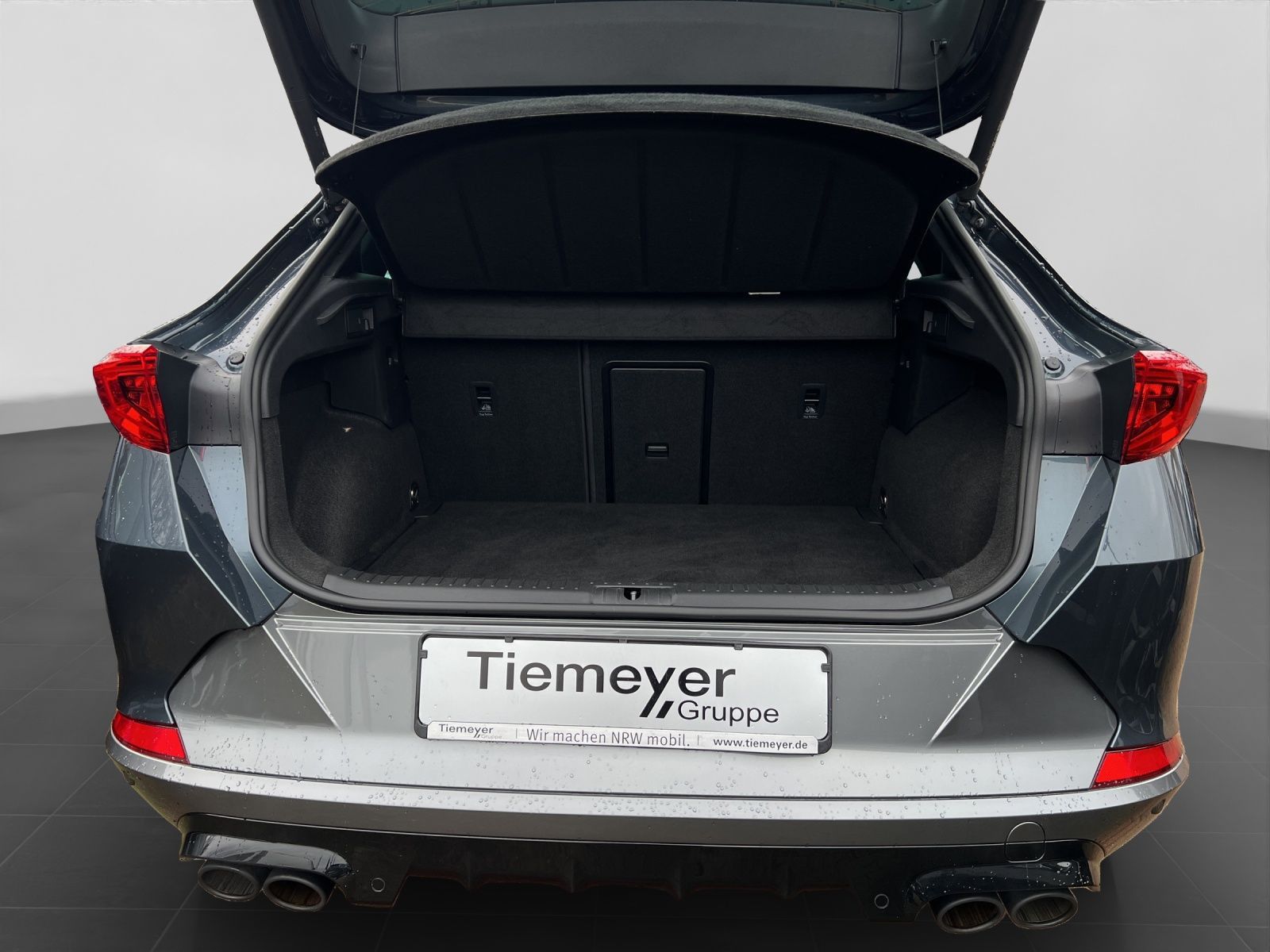 Cupra Formentor 2.0 TSI VZ LM19 AHK PANO LEDER BEATS