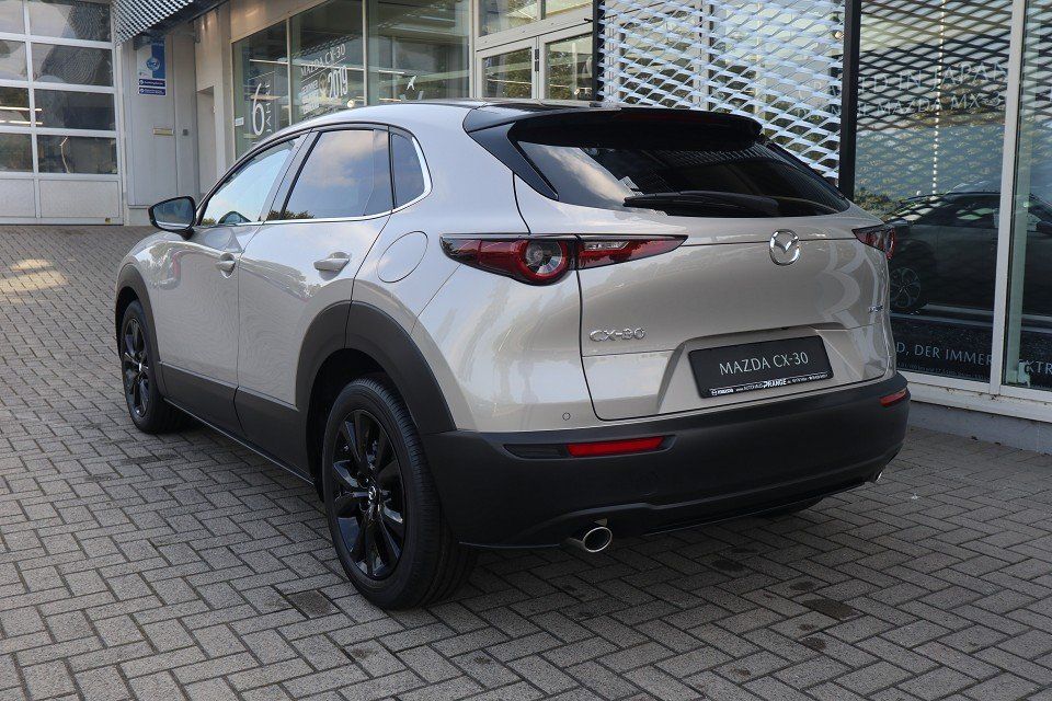 Mazda CX-30 M-Hybrid Homura G-140 AT Allwetter NAVI AC
