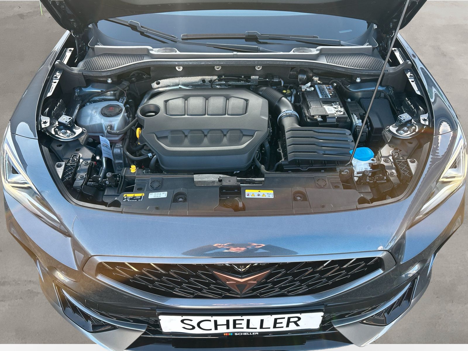 Cupra Formentor VZ 4Drive 2.0 TSI DSG *AHK*PANO*BEATS*