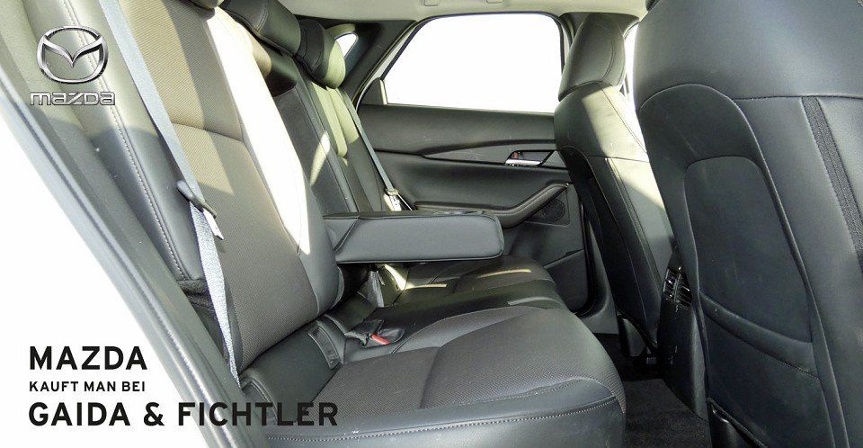 Mazda CX-30 e-SKYACTIV G 140 PS Automatik Takumi Leder