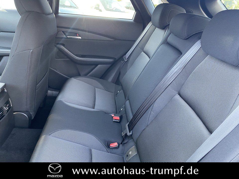 Mazda CX-30 186PS AWD 6AG SELECTION DESIGN-u.PREMIUM-P