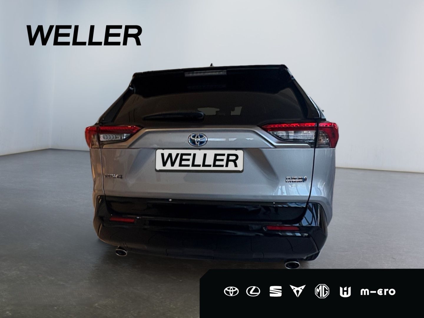 Toyota RAV 4 Plug-in-Hybrid Style 8 Fach bereift