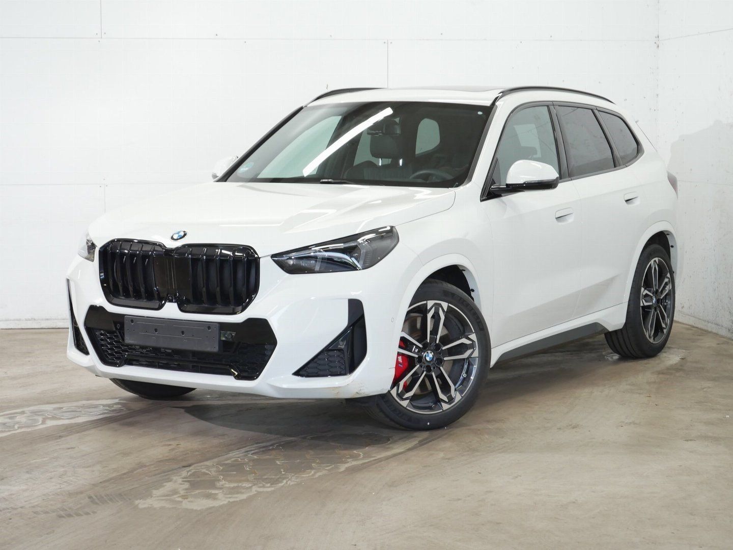 BMW X1 xDrive23d M SportPro 19" AHK 360° ACC eSitze 