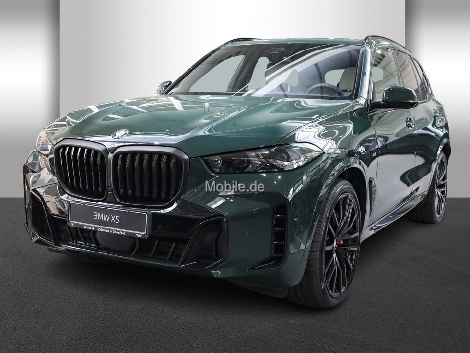 BMW X5 xDrive40d Navi Leder Glasdach LED