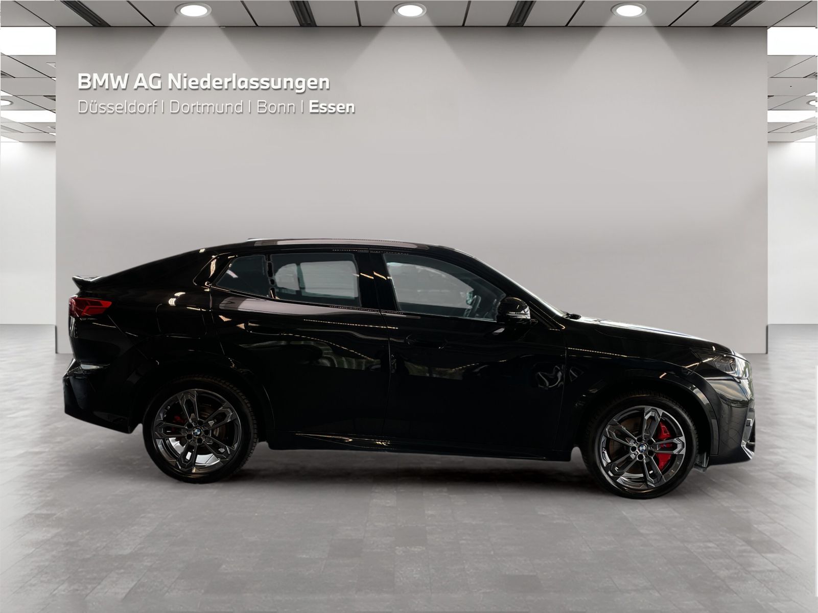 BMW X2 xDrive20d M Sport AHK Driv.Assist+ Harman/K