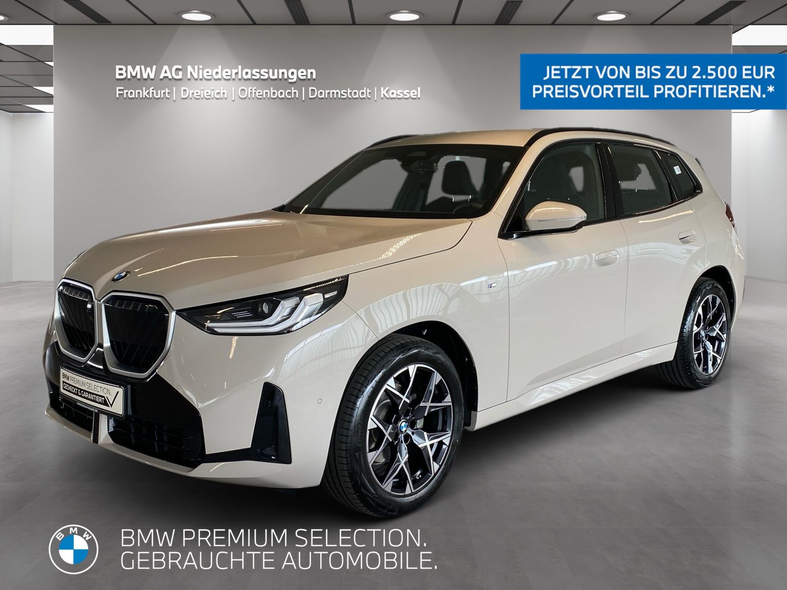 BMW X3 20d xDrive M Sport AHK Driv.Assist+ Kamera