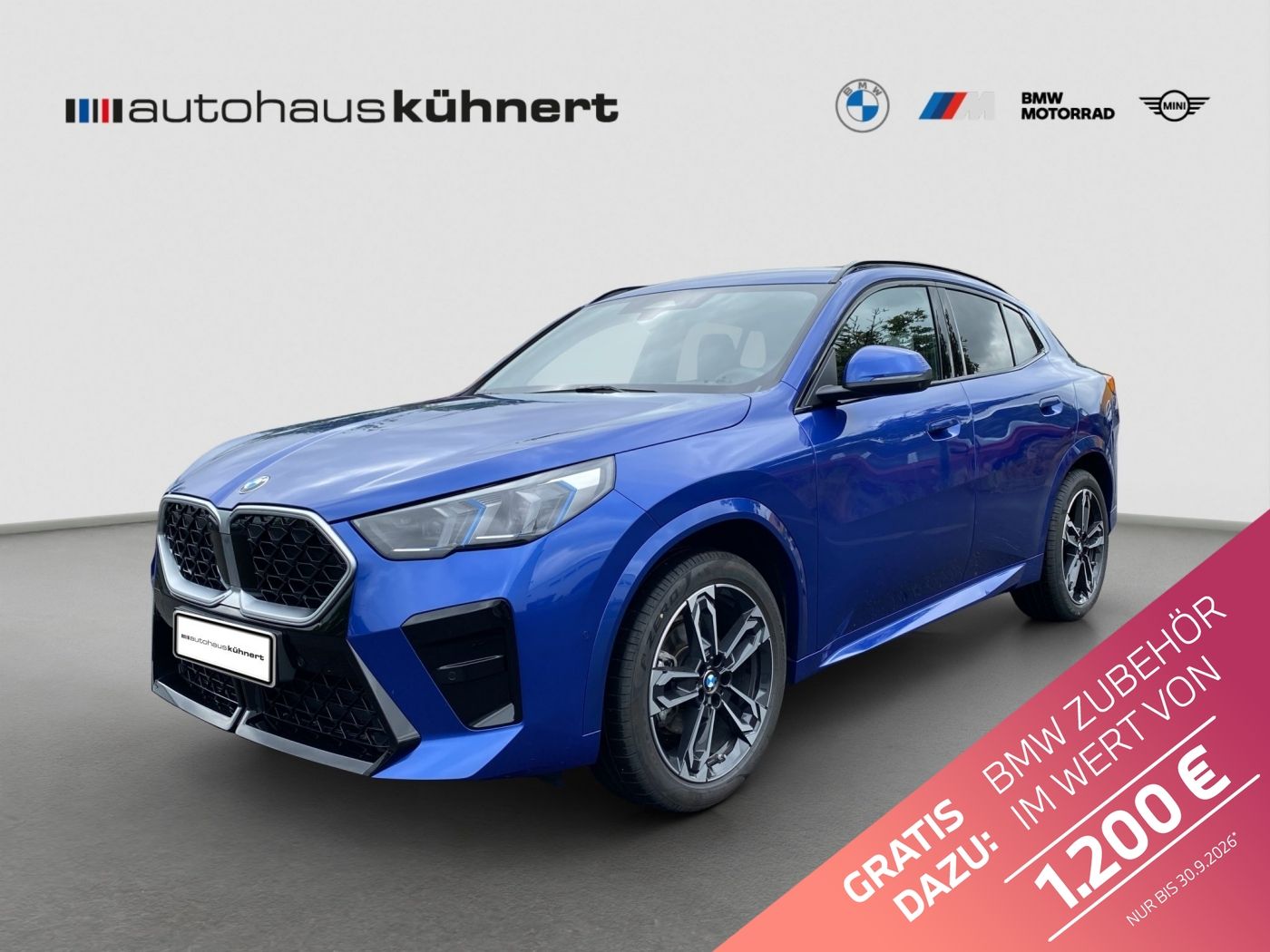 BMW X2 xDrive20d ///M-Sport ACC SpurAss 360° AHK