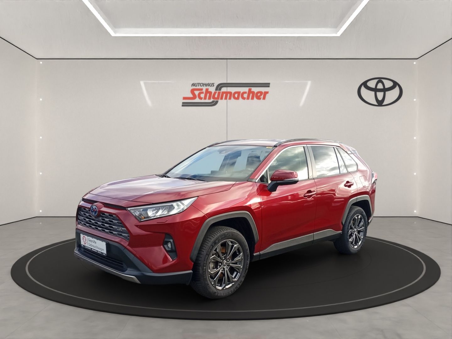 Toyota RAV 4 Hybrid 4x4 Team Deutschland+TEC-P+AHK