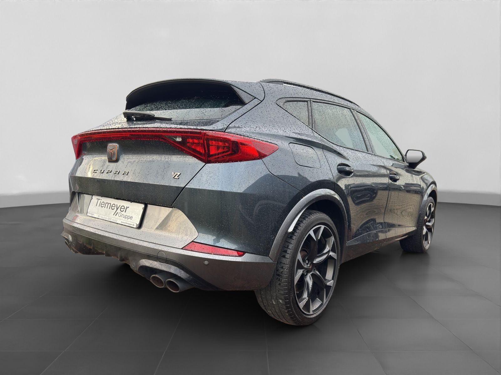 Cupra Formentor 2.0 TSI DSG 4D VZ KAMERA PANO AHK