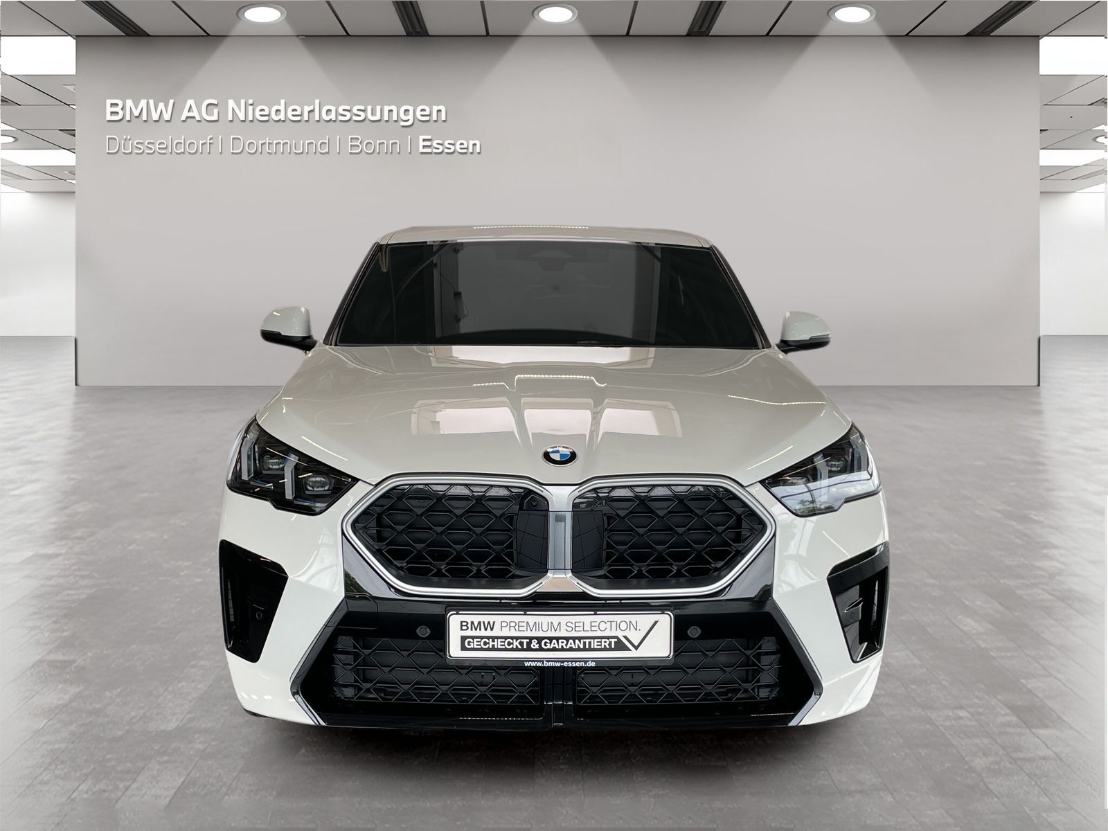 BMW X2 xDrive20d M Sport AHK Driv.Assist+ Harman/K