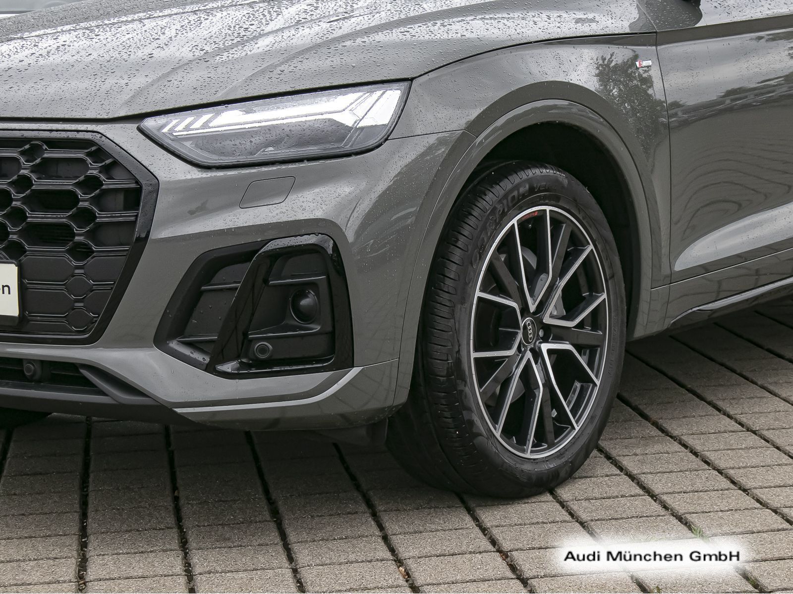 Audi Q5 40 TDI qu. S tronic S line Pano/LuftFed/StdHz