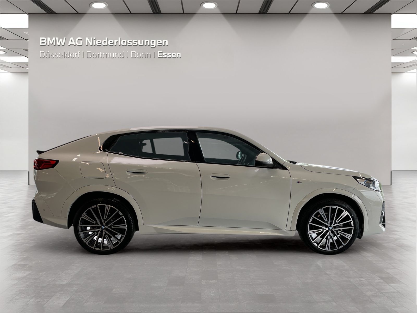 BMW X2 xDrive20d M Sport AHK Driv.Assist+ Harman/K