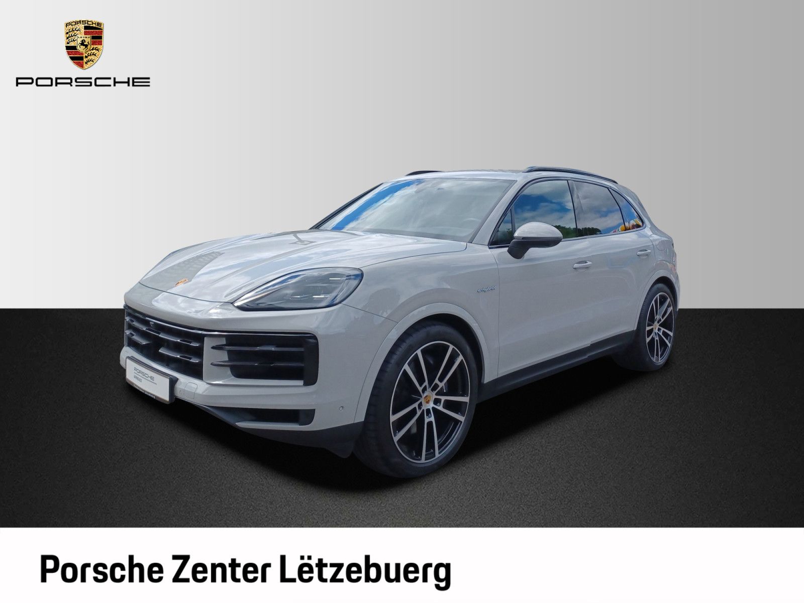 Porsche Cayenne CAYENNE E -HYBRID