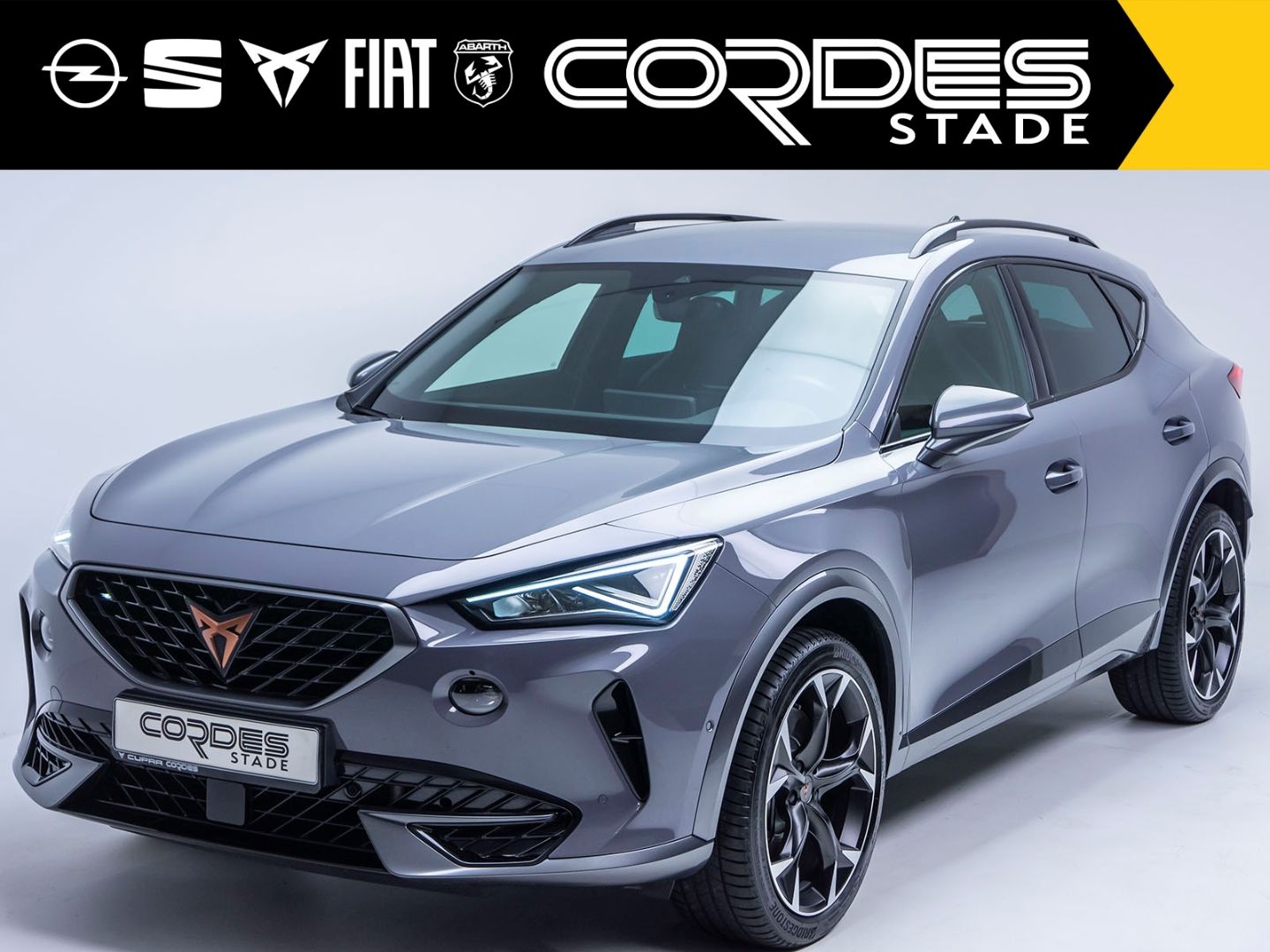 Cupra Formentor VZ 4Drive 2.0 TSI AHK ACC Automatik Ap