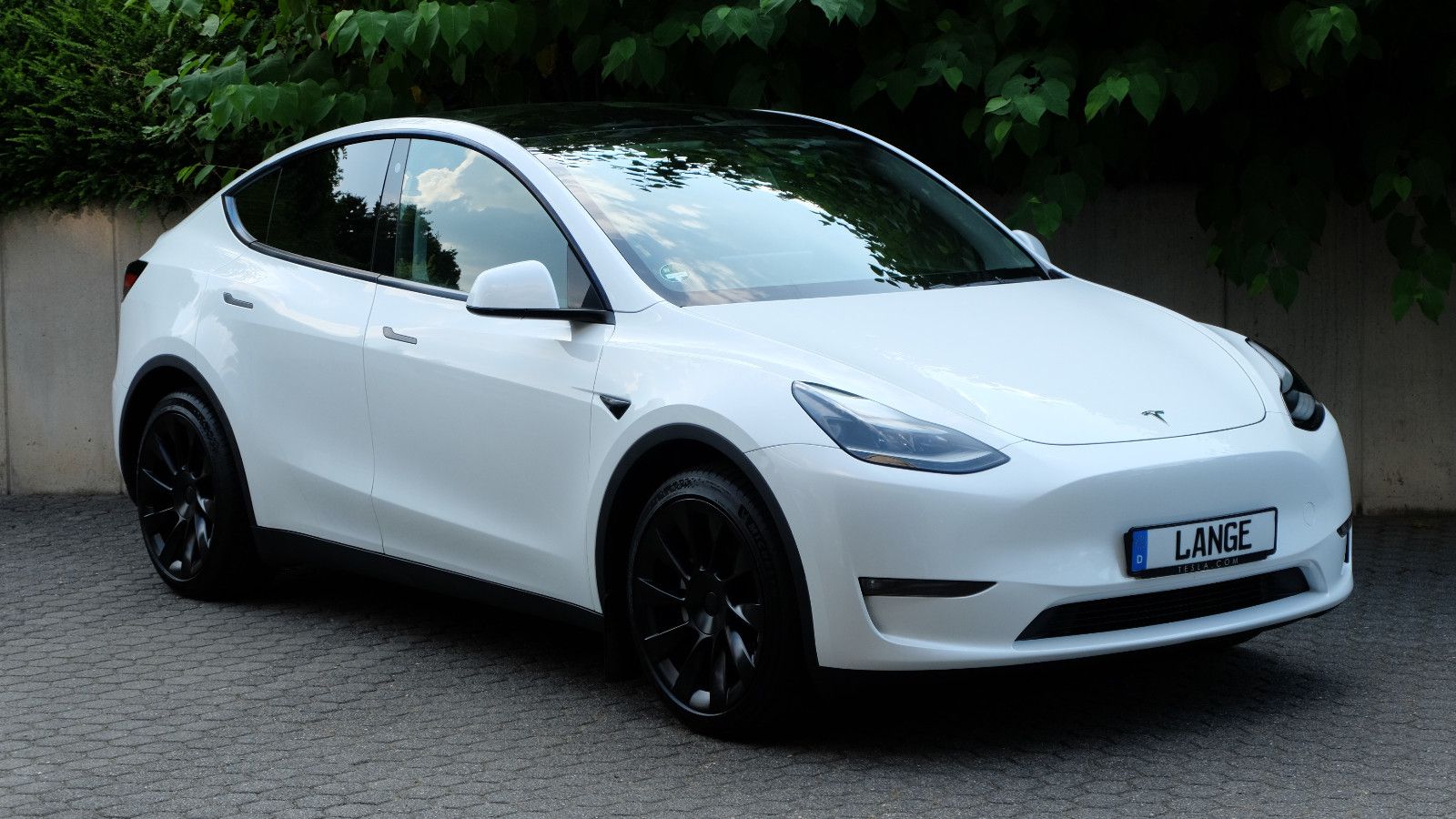 Tesla Model Y Long Range Dual AWD