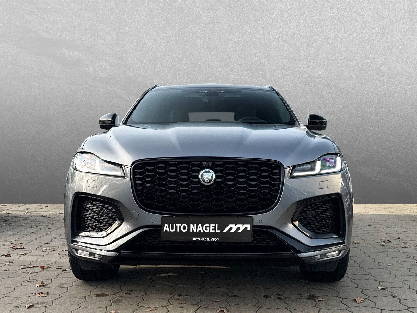 Jaguar F-PACE D300 R-Dyn. SE AHK HUD Dachrel. Winter-Pa