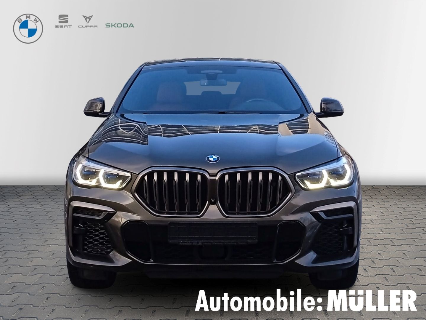 BMW X6 M50i Laserlicht HUD StandHZG AHK-klappbar TV