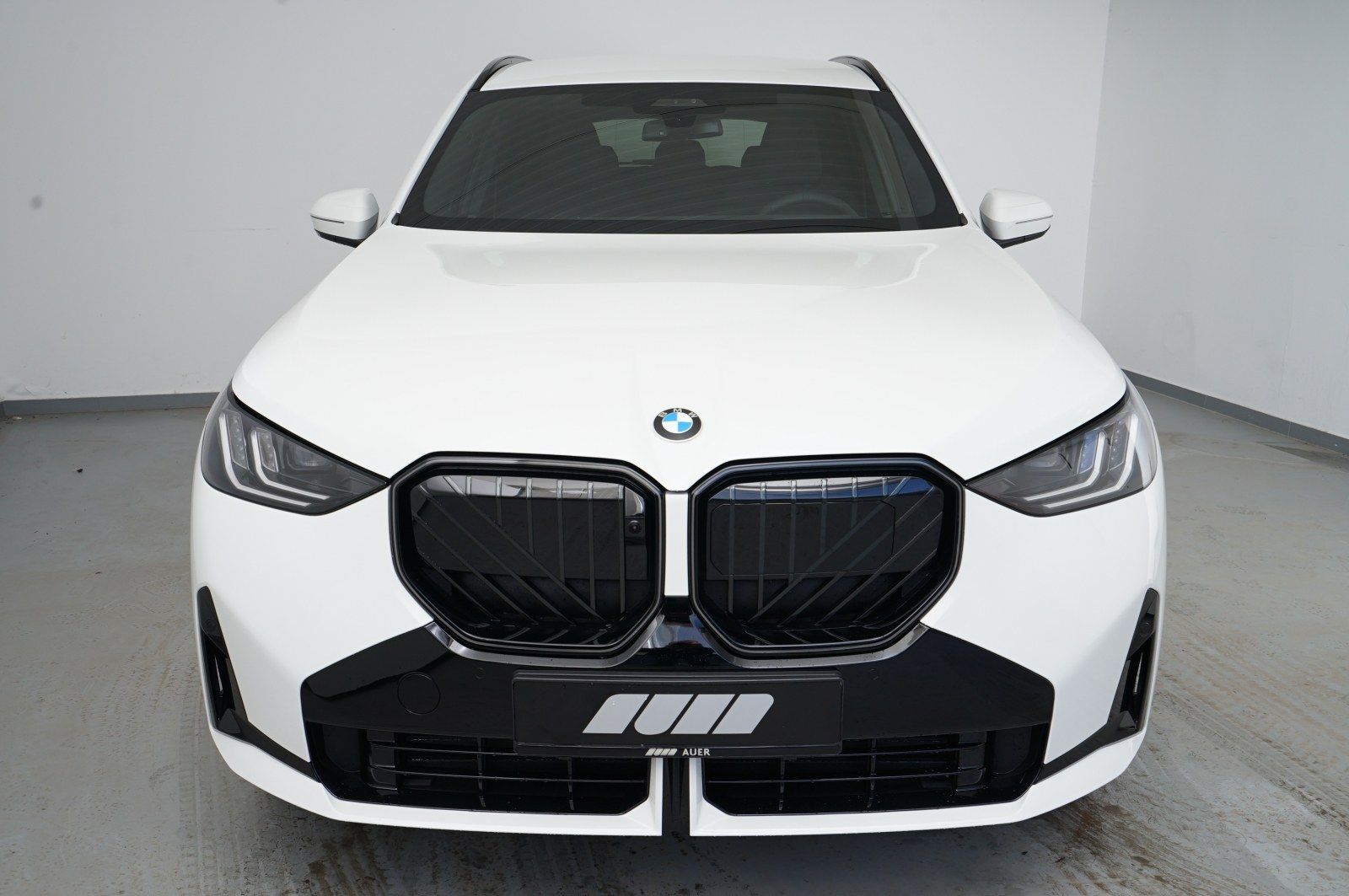 BMW X3 30e xDrive (M-Sport Navi LED AHK H/K Shz PDC)