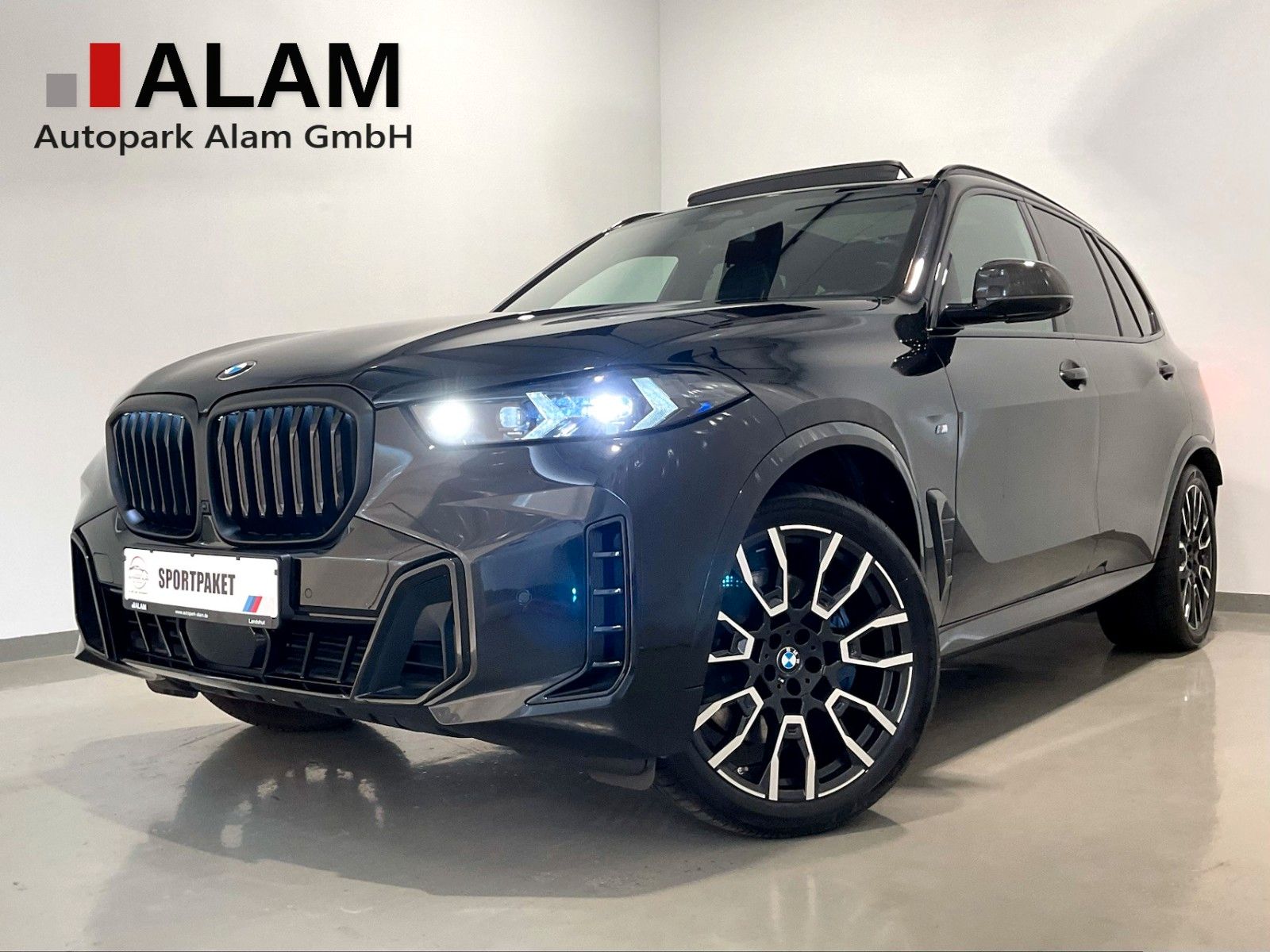 BMW X5 30 d xDrive M Sport ACC AHK HUD H&K 360°