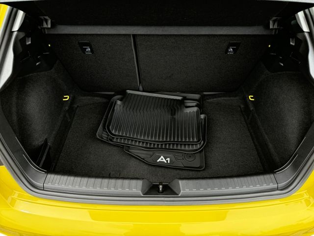 Audi A1 Sportback 30 TFSI 110 PS DSG - Navi*Shzg*App*
