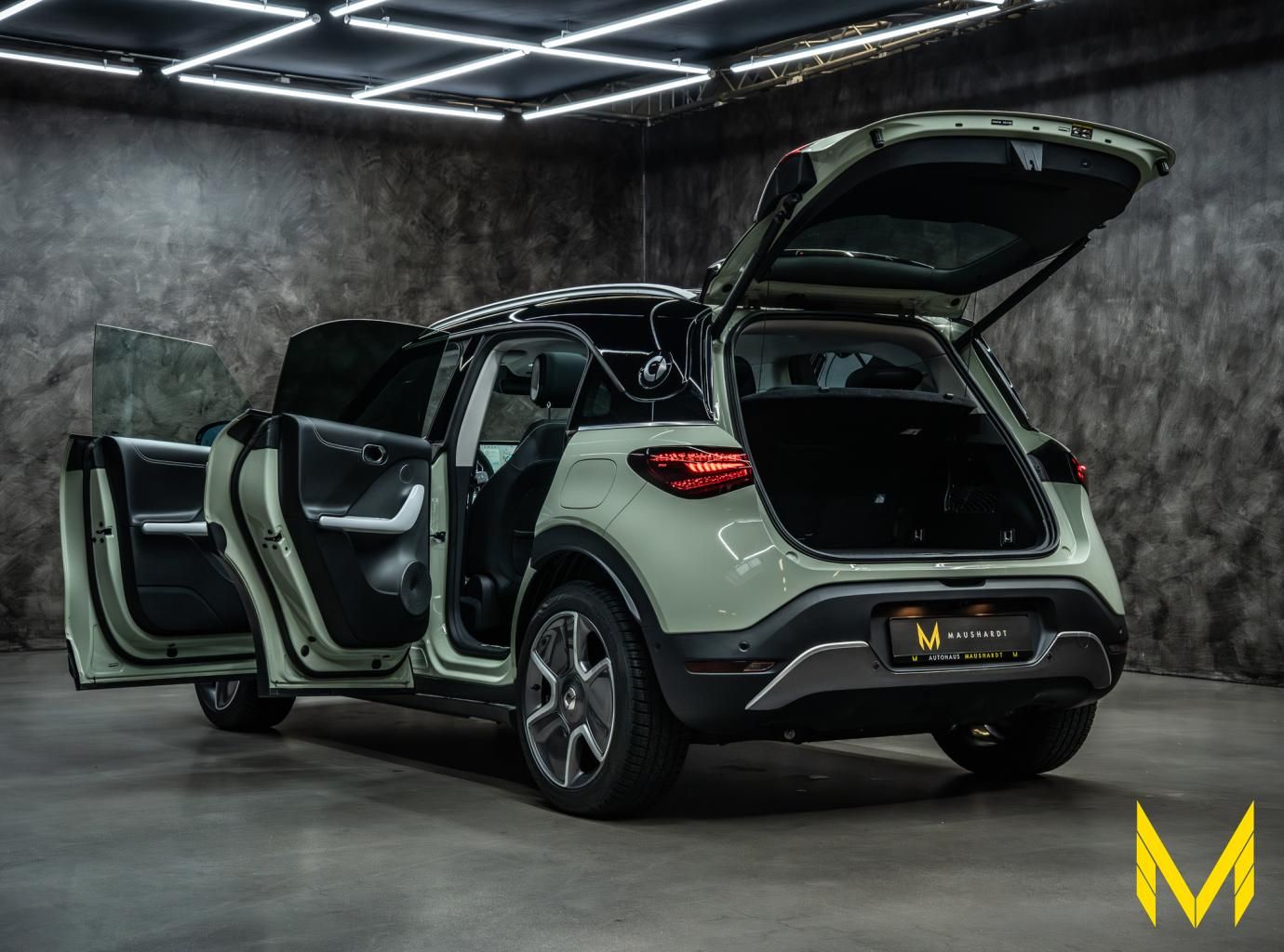 Smart #1 PULSE #368PS #ALLE ANDEREN HABEN KEINE AHNUNG