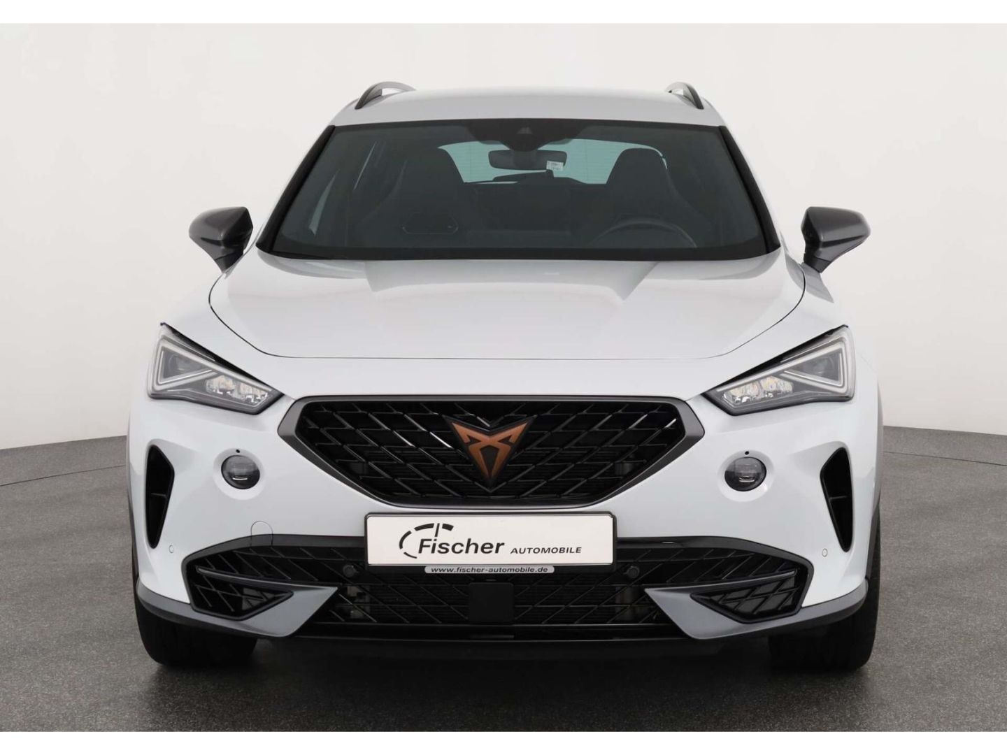 Cupra Formentor 2.0 TSI 4Drive VZ