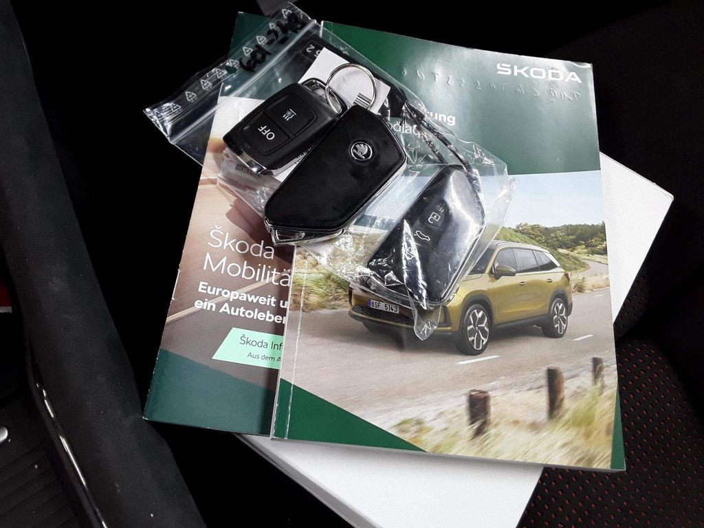 Skoda Kodiaq 2.0 TSI RS 4x4 HUD AHK 360° 7-SITZER PANO