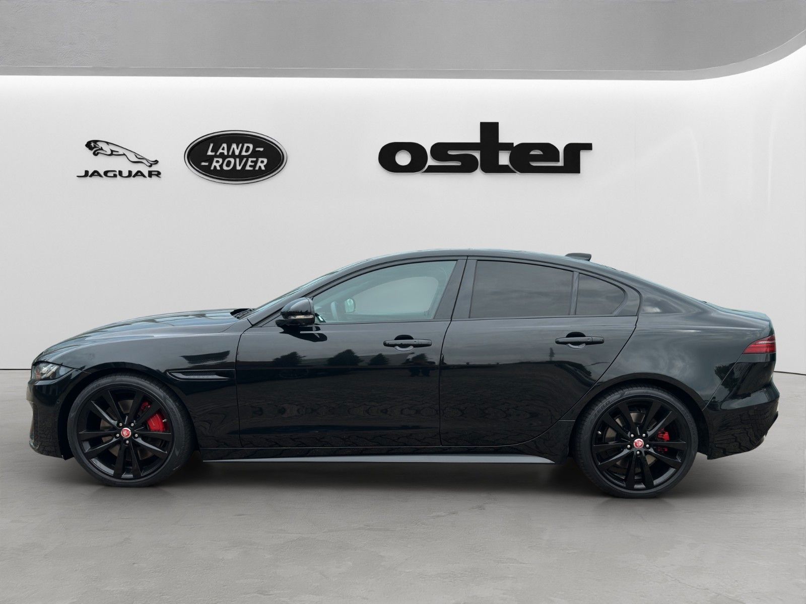 Jaguar XE P250 R-Dynamic Black|Head-Up|Meridian|360°