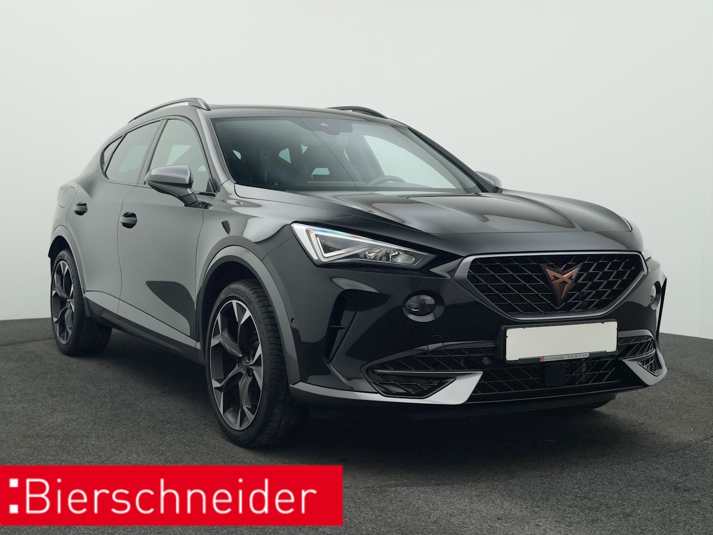 Cupra Formentor 1.4 TSI DSG e-Hybrid VZ PANO AHK KAMER