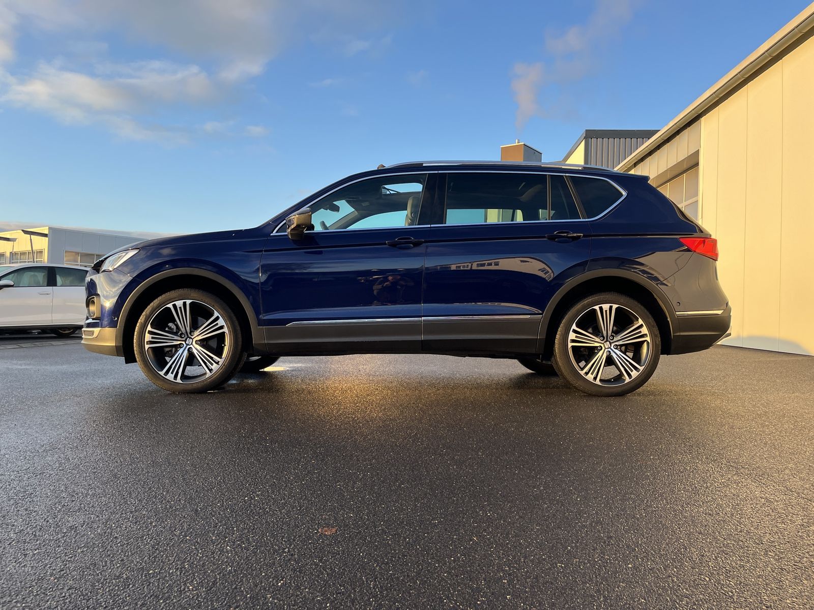 Seat Tarraco 2.0 TDI DSG 4Drive Xcellence 20Zoll AHK